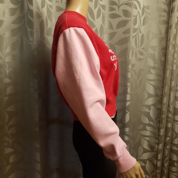 Crop San Francisco Color Block Sweatshirt Size S - Picture 3 of 10